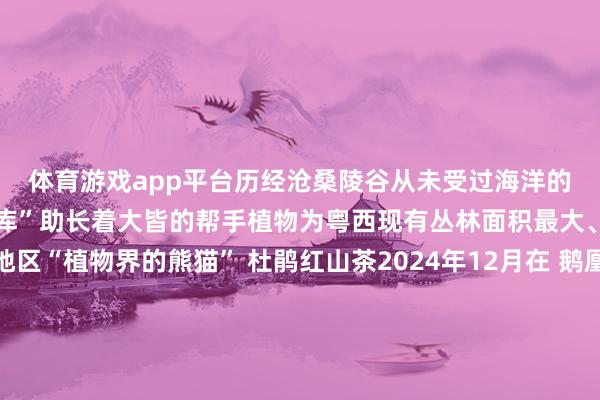 体育游戏app平台历经沧桑陵谷从未受过海洋的侵袭这里仿佛一个“宝库”助长着大皆的帮手植物为粤西现有丛林面积最大、植被保护最佳的地区“植物界的熊猫” 杜鹃红山茶2024年12月在 鹅凰嶂当然保护区东南沿麓的阳西县塘口镇山溪中发现了一个新物种阳江川苔草这是首个以阳江定名的植物人人川苔草属植物“族谱”再添一个新成员阳江川苔草效果 陈国棣 刘修霆 摄城市发展离不开生态环境的撑抓和保险而细致的生态环境就是阳