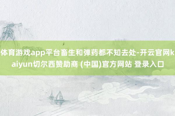 体育游戏app平台畜生和弹药都不知去处-开云官网kaiyun切尔西赞助商 (中国)官方网站 登录入口