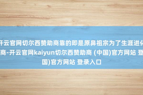 开云官网切尔西赞助商靠的即是原鼻祖宗为了生涯进化出的智商-开云官网kaiyun切尔西赞助商 (中国)官方网站 登录入口