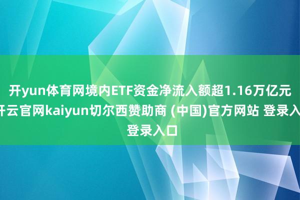 开yun体育网境内ETF资金净流入额超1.16万亿元-开云官网kaiyun切尔西赞助商 (中国)官方网站 登录入口