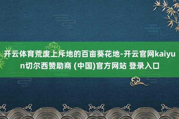 开云体育荒废上斥地的百亩葵花地-开云官网kaiyun切尔西赞助商 (中国)官方网站 登录入口
