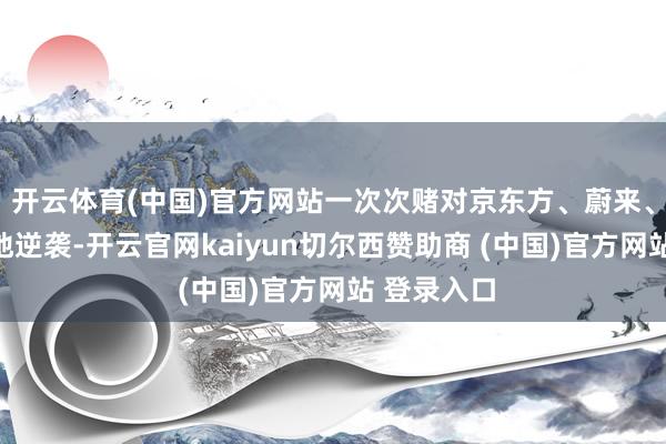 开云体育(中国)官方网站一次次赌对京东方、蔚来、长鑫的绝地逆袭-开云官网kaiyun切尔西赞助商 (中国)官方网站 登录入口